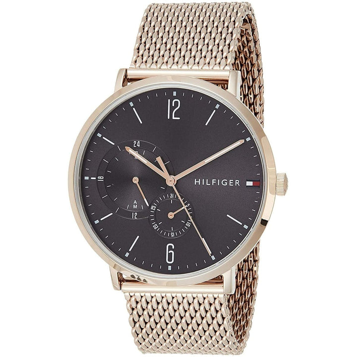 Tommy Hilfiger watch for Men 1791506