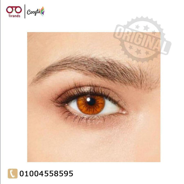 Desio Coffee Collection Colored Lenses , Espresso , Original